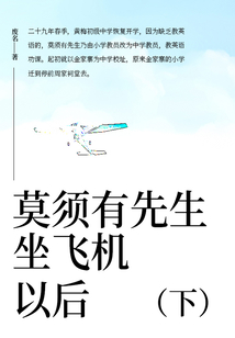 莫須有先生坐飛機以后（下）