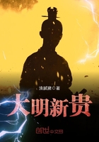 大明新贵在线阅读