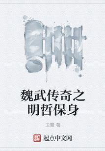 魏武傳奇之明哲保身