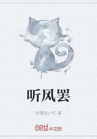 听风罢在线阅读