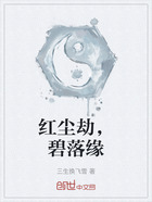 红尘劫,碧落缘在线阅读