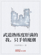 武道熟練度肝滿的我，只手鎮魔潮在線閱讀