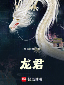 龙君！在线阅读