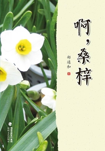 啊，桑梓