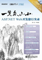 一览众山小：ASP.NET Web开发修行实录