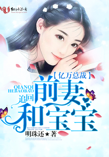 追回前妻和宝宝