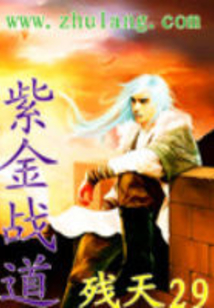 紫金戰道