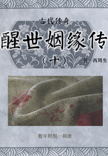 古代傳奇:醒世姻緣傳(十)