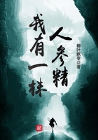 我有一株人參精在線閱讀