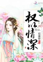 權以情深在線閱讀