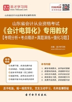 山东省会计从业资格考试《会计电算化》专用教材【考纲分析＋考点精讲＋真题演练＋强化习题】在线阅读