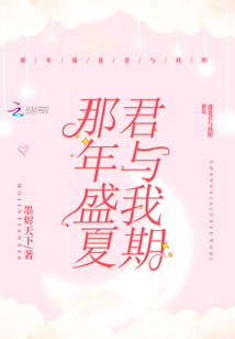 那年盛夏君與我期