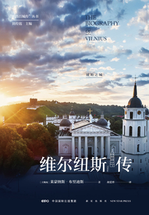 維爾紐斯傳：琥珀之城