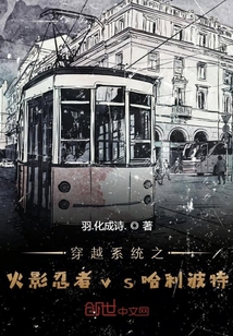 穿越系統之火影忍者vs哈利波特