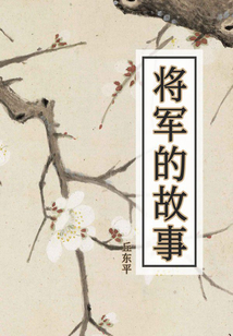將軍的故事