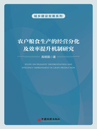 农户粮食生产的经营分化及效率提升机制研究