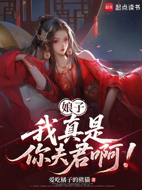 娘子，我真是你夫君啊！在线阅读