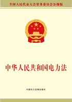 中华人民共和国电力法