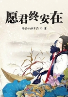 愿君終安在在線閱讀