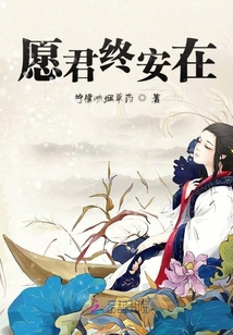 愿君終安在