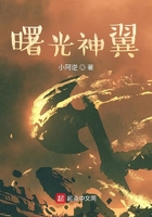 曙光神翼在線閱讀