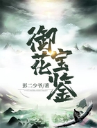 御花宝鉴在线阅读