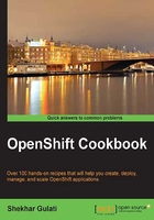 OpenShift Cookbook