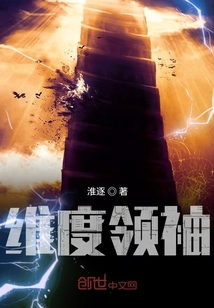 維度領(lǐng)袖