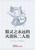 精灵之永远的火箭队二人组在线阅读