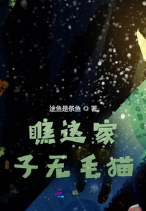 瞧這家子無毛貓