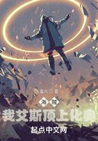 海贼:我艾斯顶上化奥在线阅读