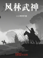 風林武神在線閱讀