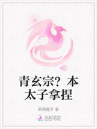 青玄宗?本太子拿捏在线阅读