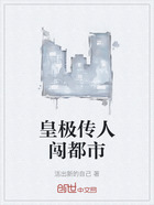 皇极传人闯都市在线阅读