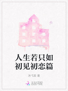 人生若只如初见初恋篇在线阅读