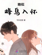 蜂鸟密钥:陆总,夫人她又掉马了在线阅读