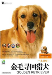 金毛尋回獵犬