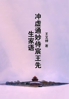 沖虛通妙侍宸王先生家語在線閱讀