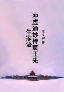沖虛通妙侍宸王先生家語