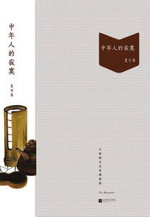 中年人的寂寞