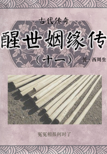 古代传奇:醒世姻缘传(十一)