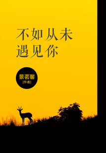 不如从未遇见你