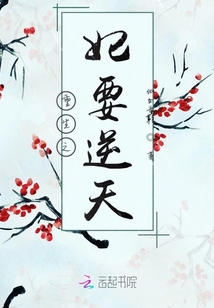 重生之妃要逆天