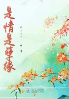是情是孽緣在線閱讀