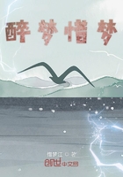 醉夢惜夢在線閱讀