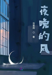 夜晚的風