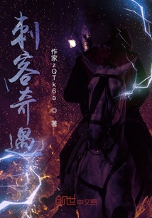 刺客奇遇