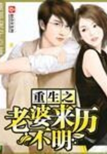 重生之老婆来历不明