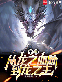 巫师:从龙之血脉到龙之主