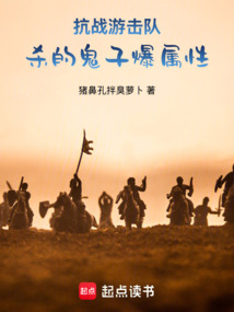 抗戰(zhàn)游擊隊:殺的鬼子爆屬性